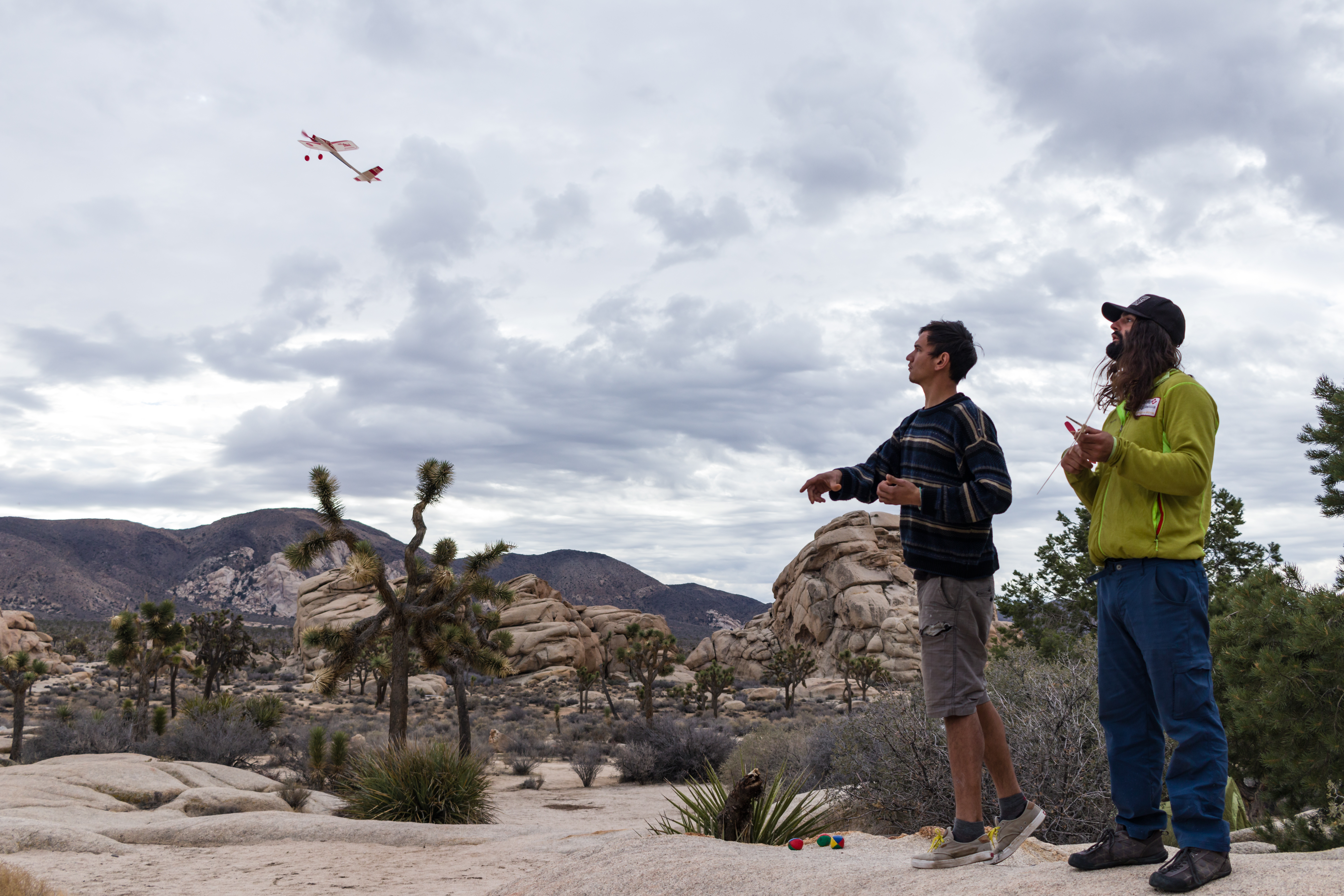 JoshuaTree2016_002