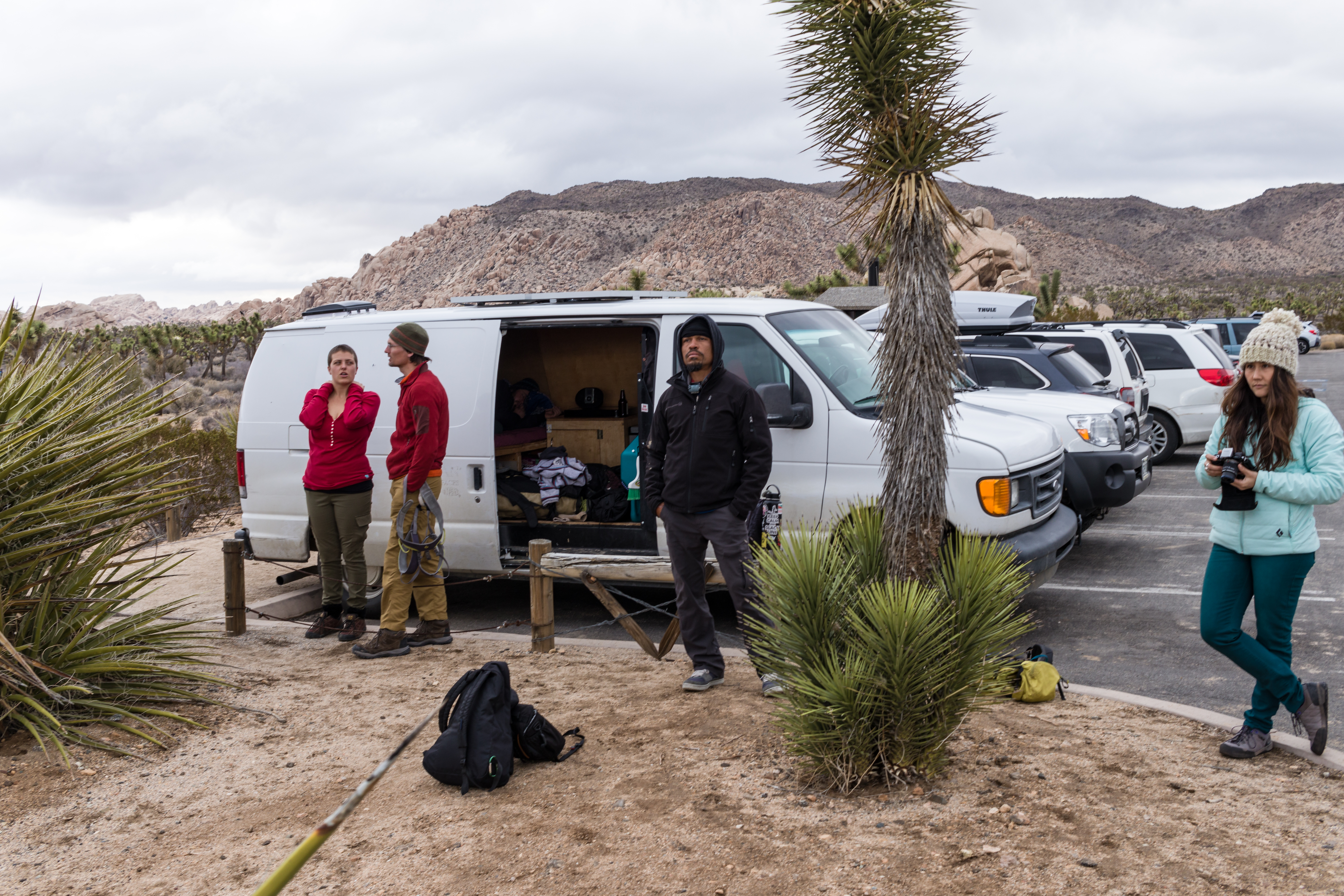 JoshuaTree2016_008