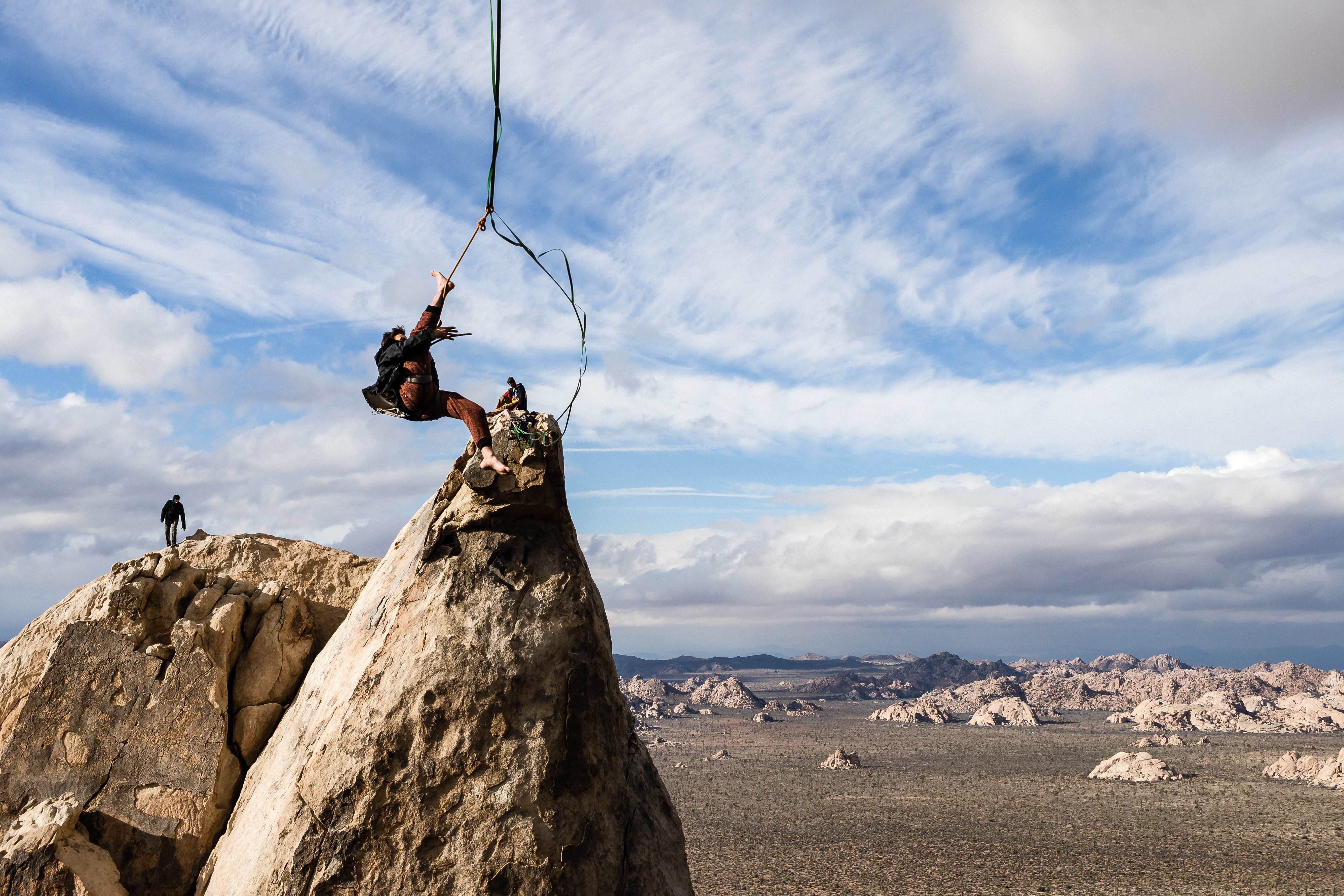 JoshuaTree2016_010