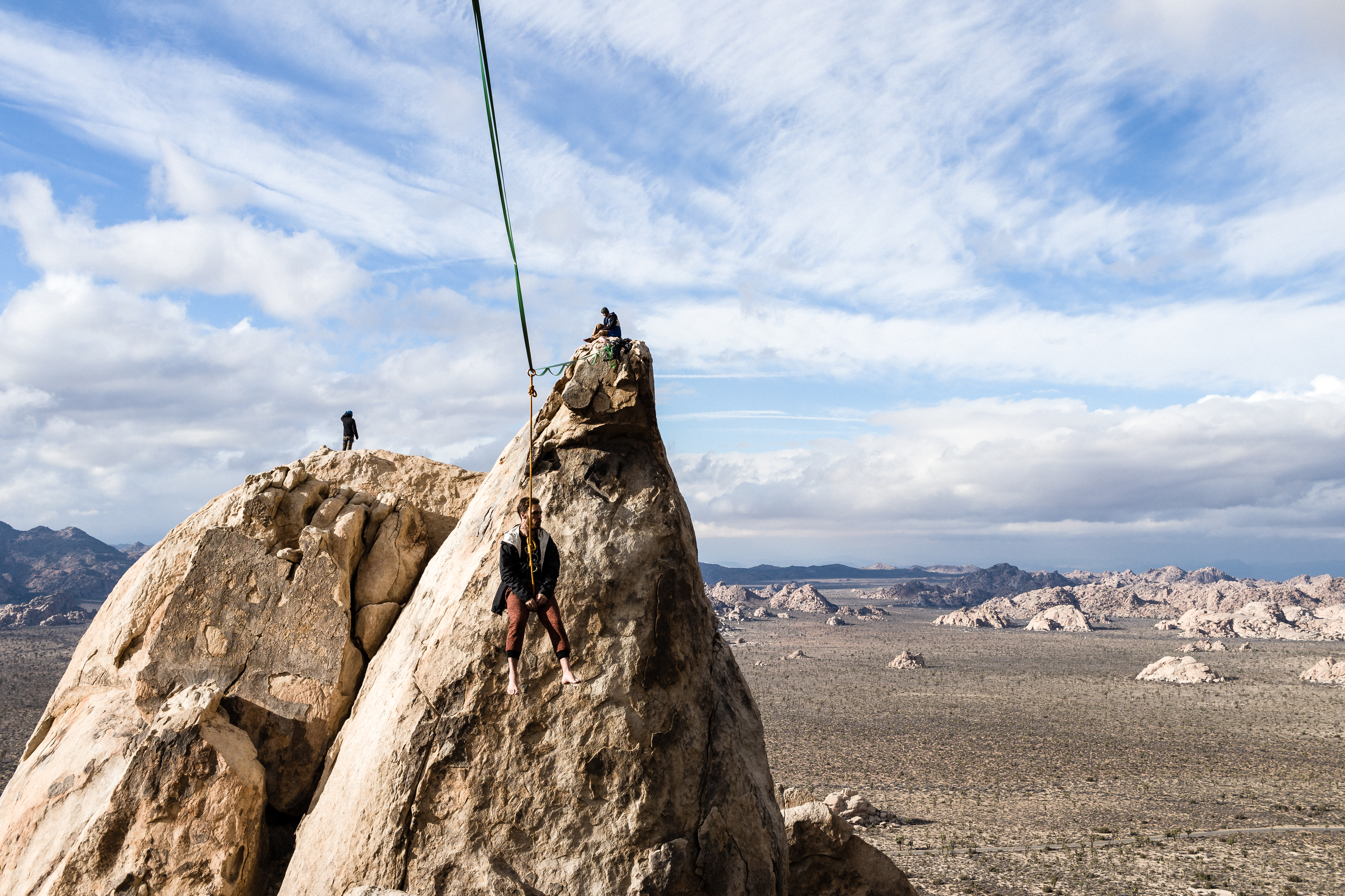 JoshuaTree2016_011